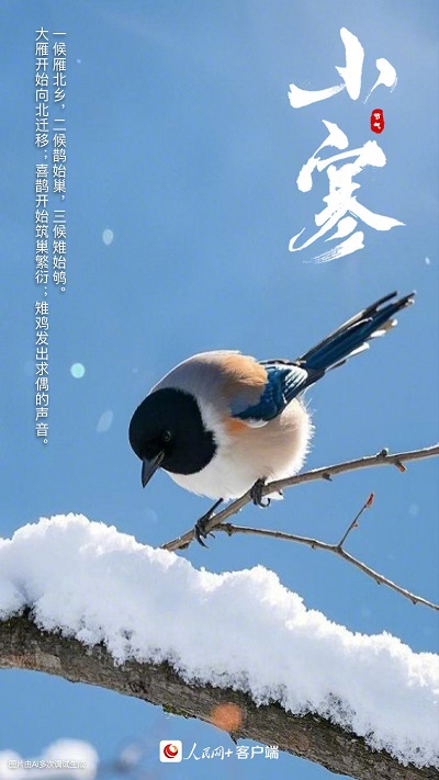 小寒圖片1.jpg
